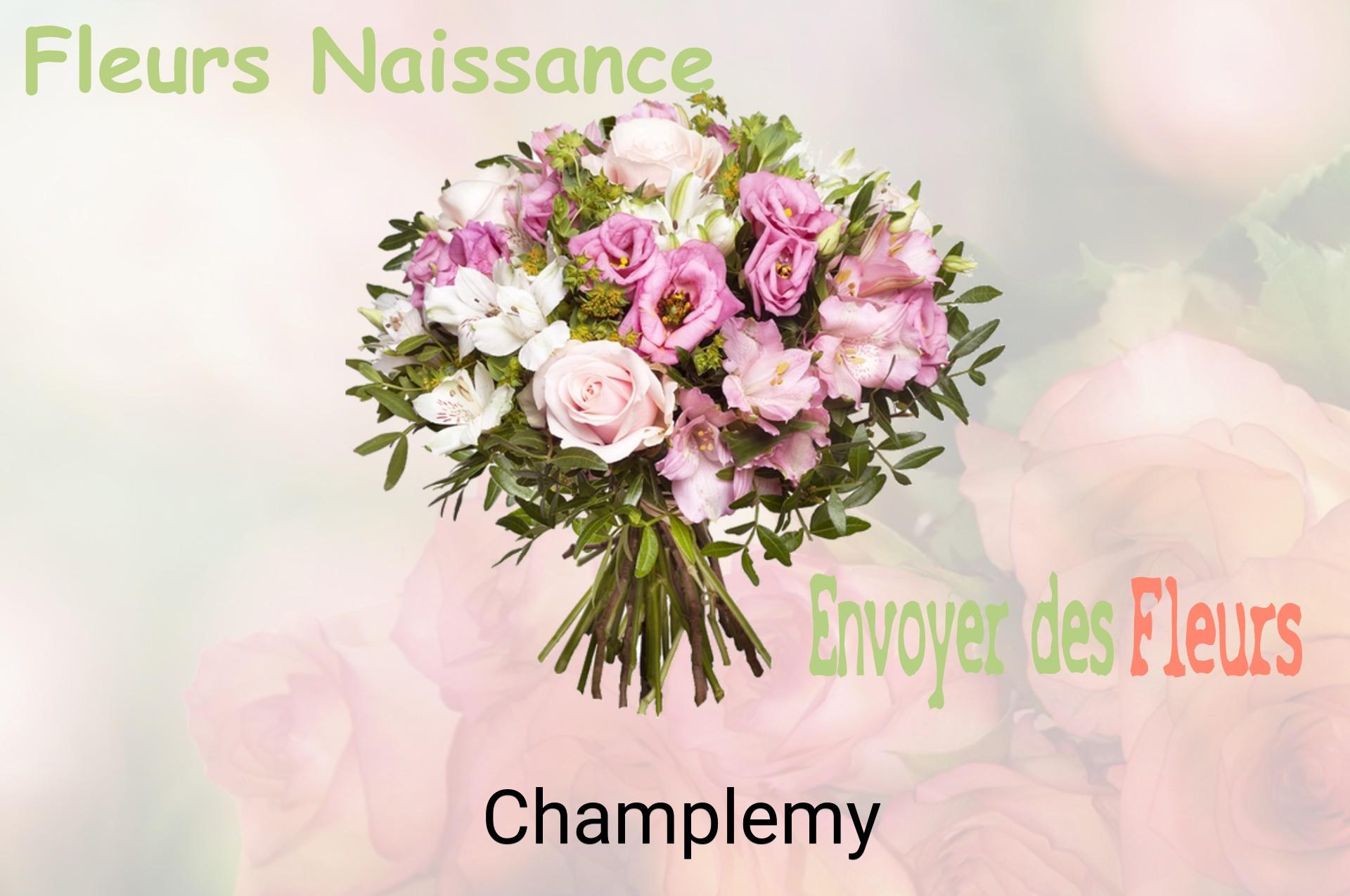 Bouquet de fleurs de naissance livré à Champlemy