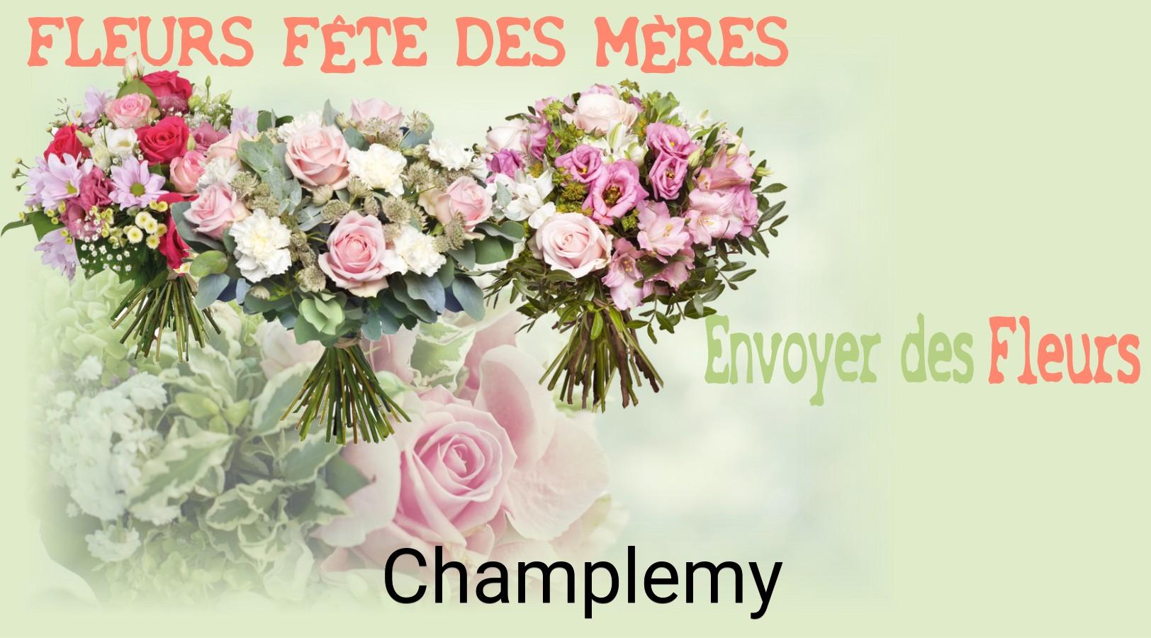Bouquet de Fête des Mères livré à Champlemy
